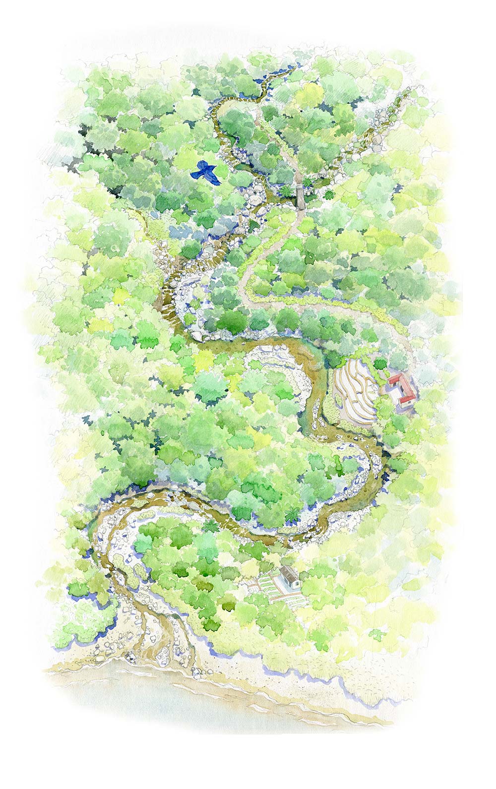 空照圖